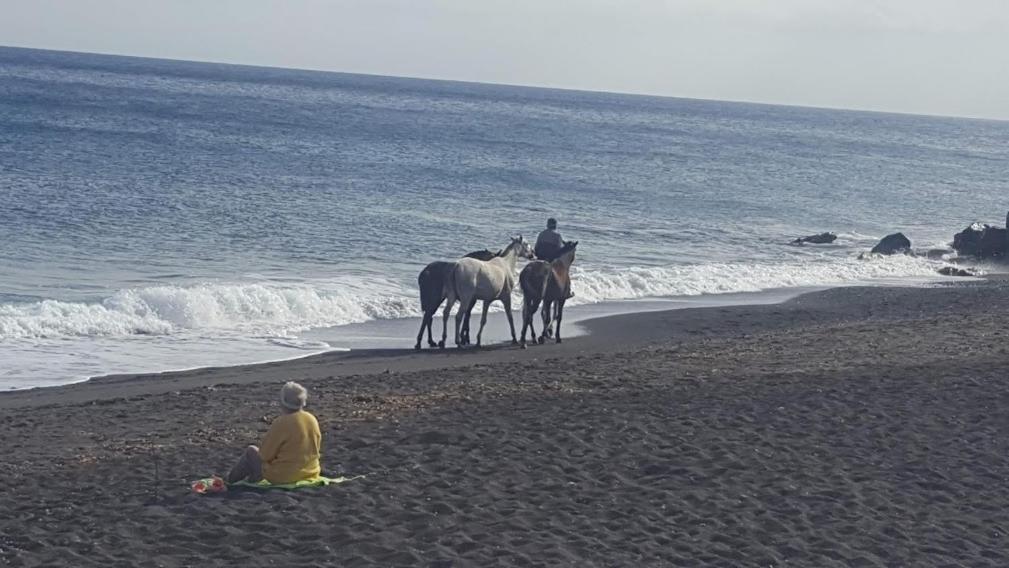 Santorini Pleasure Studios Φηρά Εξωτερικό φωτογραφία